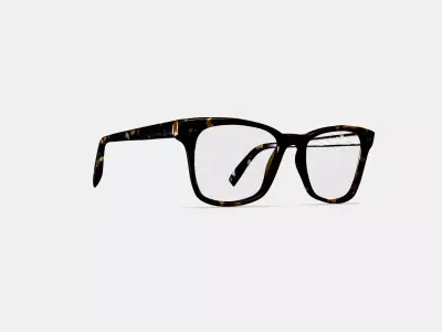 Landon Eyeglasses in Whiskey Tortoise 3D model