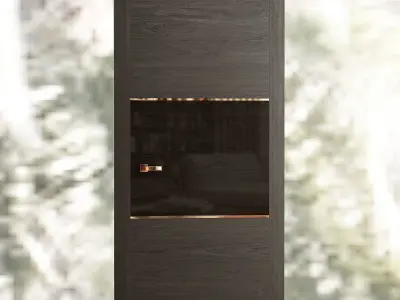 Door acrylic 3D model