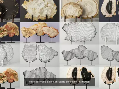 Petrified Wood Slices on Stand collection 3D Model Pack