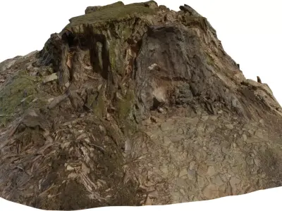 Forest Stump Rock Hill Low-poly 3D model