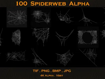 100 Spiderweb Alpha 3D model