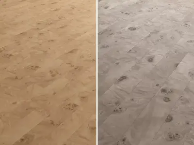 Birch Burl wood flooring and parquet Set 02 Texture