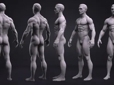  Male BaseMesh - Adam - ZTool 4R8 