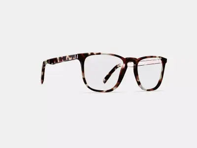 Vaughan Eyeglasses in Burnt Lemon Tortoise 3D model