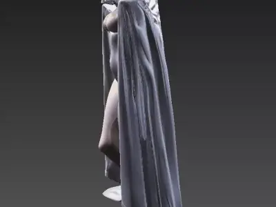 Veiled Silhouette - Mystic Cloaked Woman 3D model