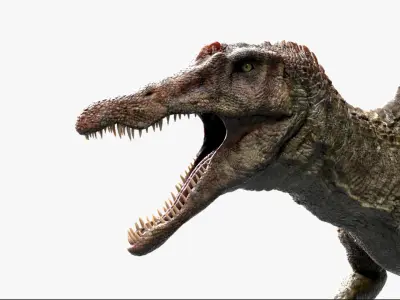  Spinosaurus Rigged 3D 