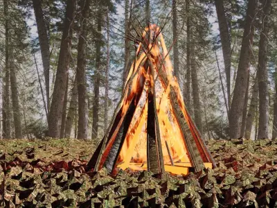 Camp fire 3D model purchase