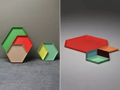 HAY Kaleido Tray 3D model