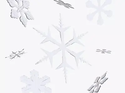 Snowflakes 3D model