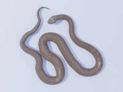 Animated Eastern Brown Snake 