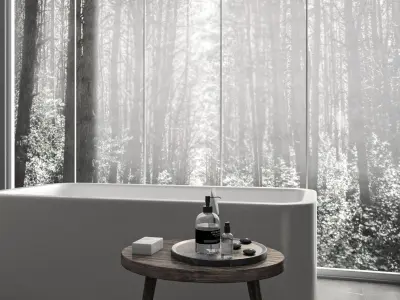 Residential Interior Of Modern Bathroom 3D model