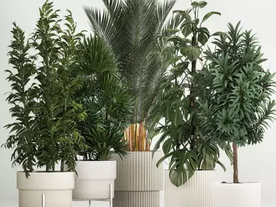 Plants For The Street And Interior In Concrete Pot 1210 3D model