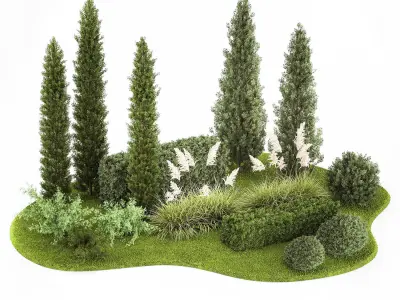 Garden of thuja and cypress trees with pampas grass bushes 1152 3D model