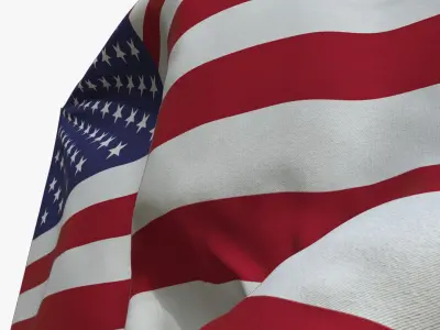  Realistic Animated Flag - Micro-Texture Rigged - Put Your Own Texture - Def USA 