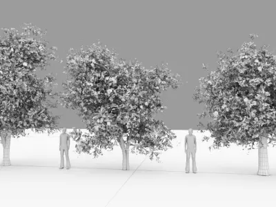 Citharexylum spinosum tree -Florida fiddlewood tree 3D model