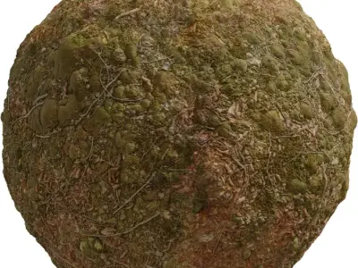 Ultra Realistic Forest Ground With Moss Texture