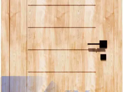 Interior single door Revit family full parametric 3D model