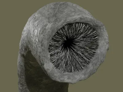 Sandworm From Dune Rigged Sci-fi Character Low-poly 3D model