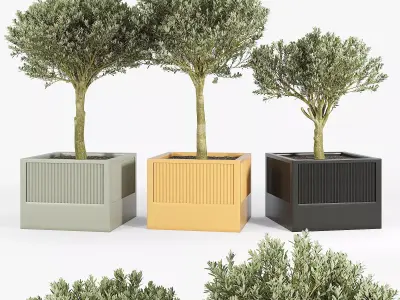 ICARIA Olea 3D model