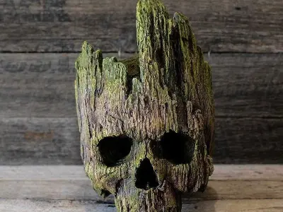 Groot Skull 3D model