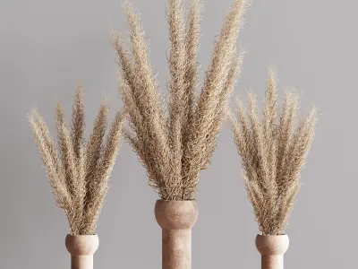 Dry Flowers Bouquet Vase 07 3D model