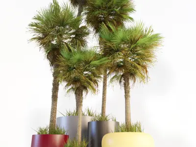 Palm trees 01 3D model