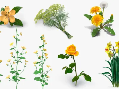  Yellow Flowering Plants Collection 4 