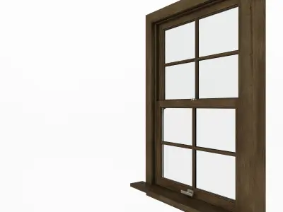 American type plastic Windows 3D model