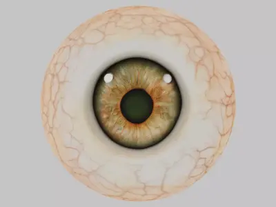 3D Eye Model with Realistic Textures Low-poly 3D model