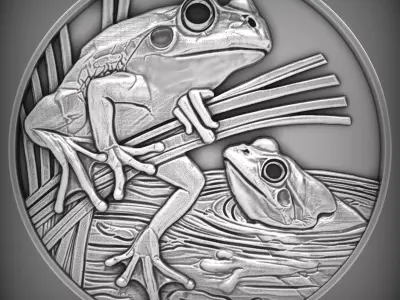 frog coin CNC Relief Model 3D print model