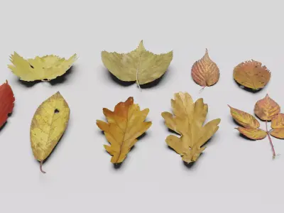 Ground Leaves Pack Low-poly 3D model