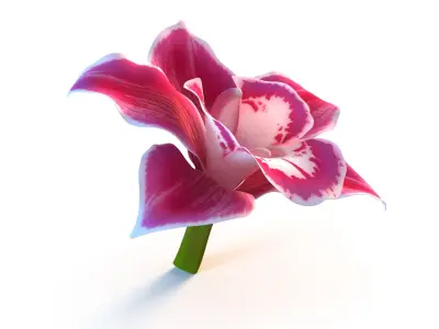  3D Flowers Collection – High-Quality 4K PBR Asset Pack 