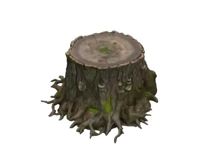 Realistic Tree Stump with Roots 3D model
