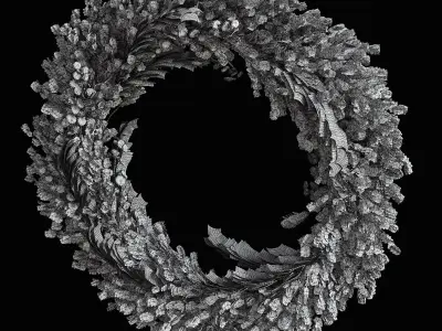 Wall hanging Pampas Ring 3D model