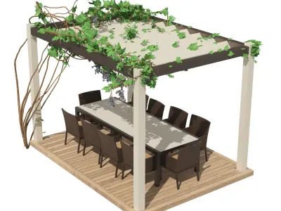Modern pergola with climber grapevine 3d model 3D model