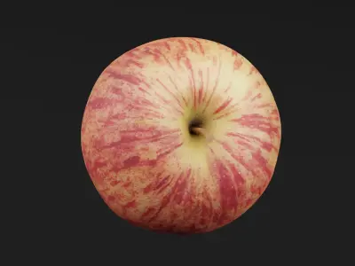 Apple  3D model