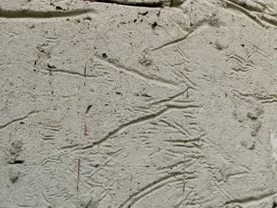 Concrete wall Old concrete 137 Texture