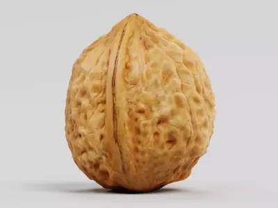 Walnut Shell - Realistic Whole Nut 3D model
