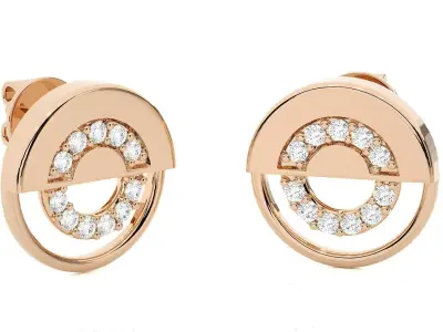 Light wt Women Diamond Earrings  3D print model