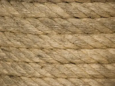 Brown Rope 3D model