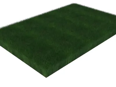 Grass With Growing Animation 3D model