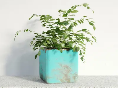 Archmodels vol 141 - high quality indoor plants 3D model