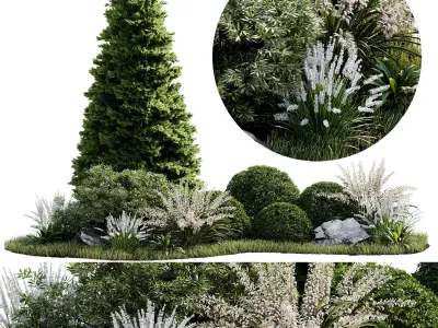 Outdoor Plant 33 3D model