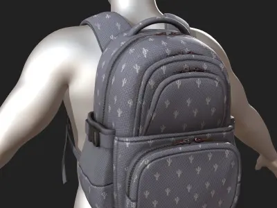 Backpack bag baggage Color 3d low poly  Low-poly 3D model