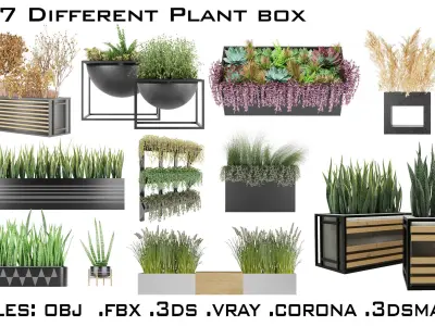Large Collection plant vol 1 3D Model Pack