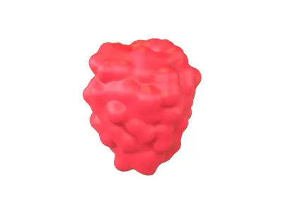Raspberry V1 001 Free low-poly 3D model