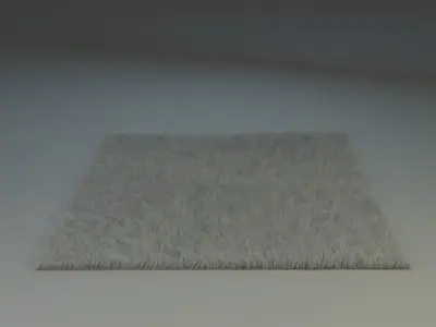 Fluffy Carpet 3D model