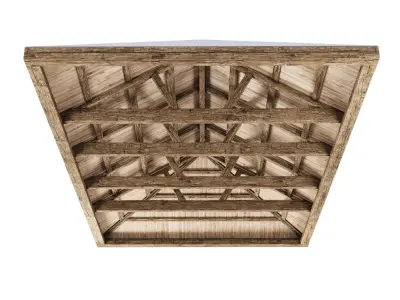 Wooden Ceiling V10  3D model