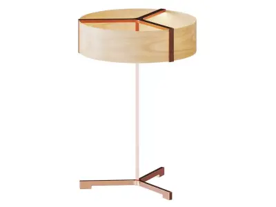 Thesis Ramon Esteve 3D model