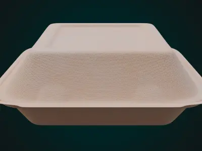 Cardboard Disposable - Food Container 3D model